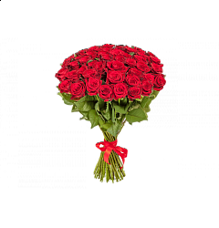 Букет моно «25 красных роз», 40-50 см